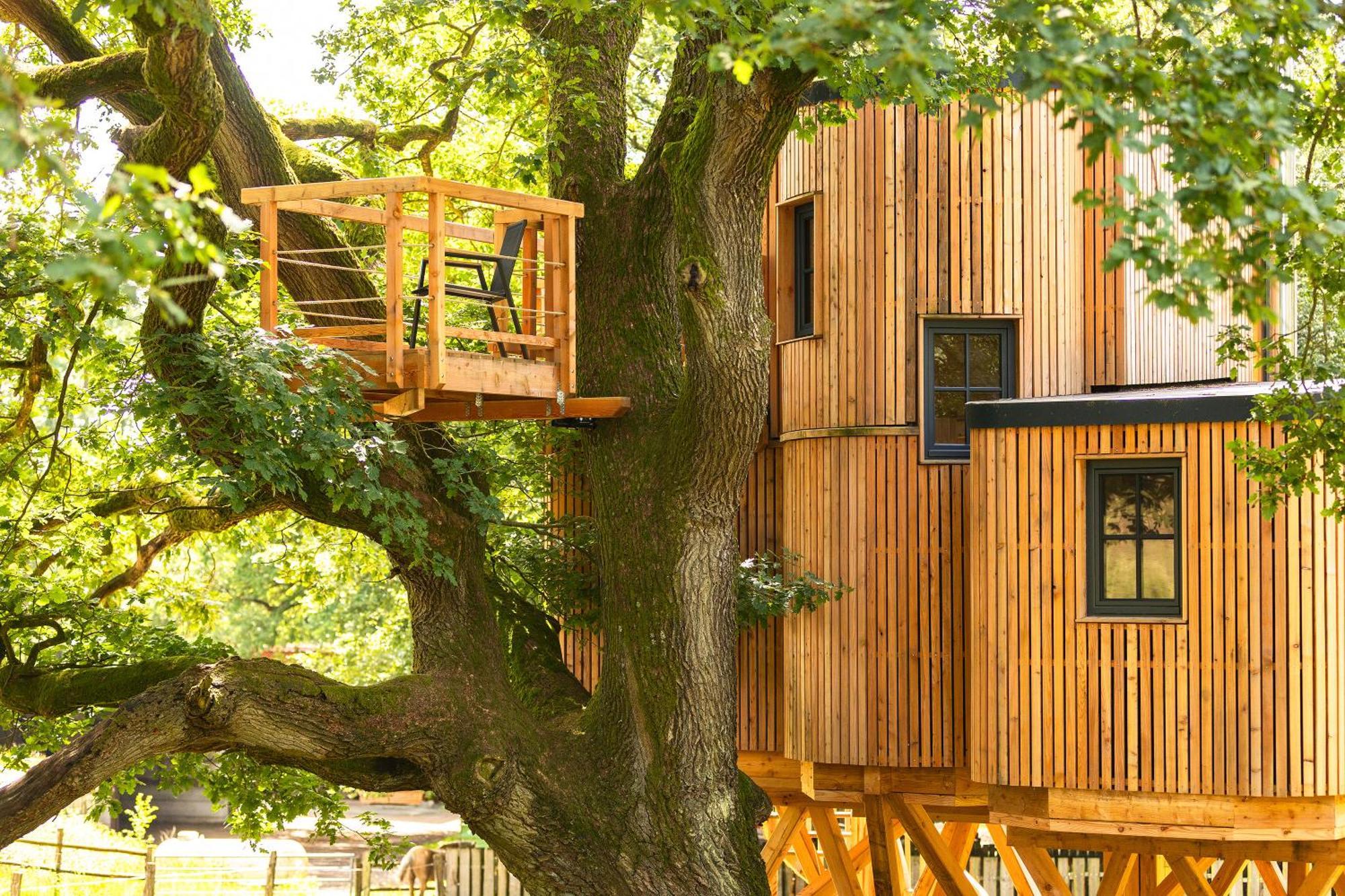 Heide Ferien - Hof Bockelmann Apartman Bispingen Szoba fotó