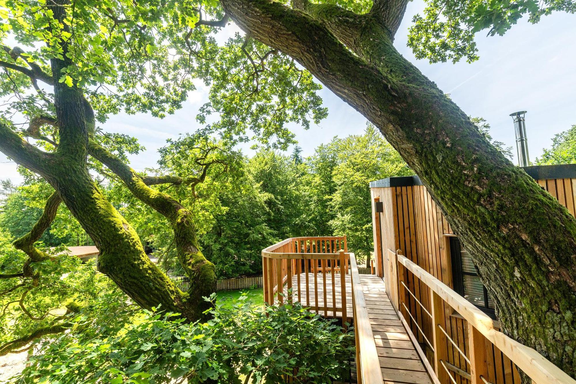 Heide Ferien - Hof Bockelmann Apartman Bispingen Szoba fotó