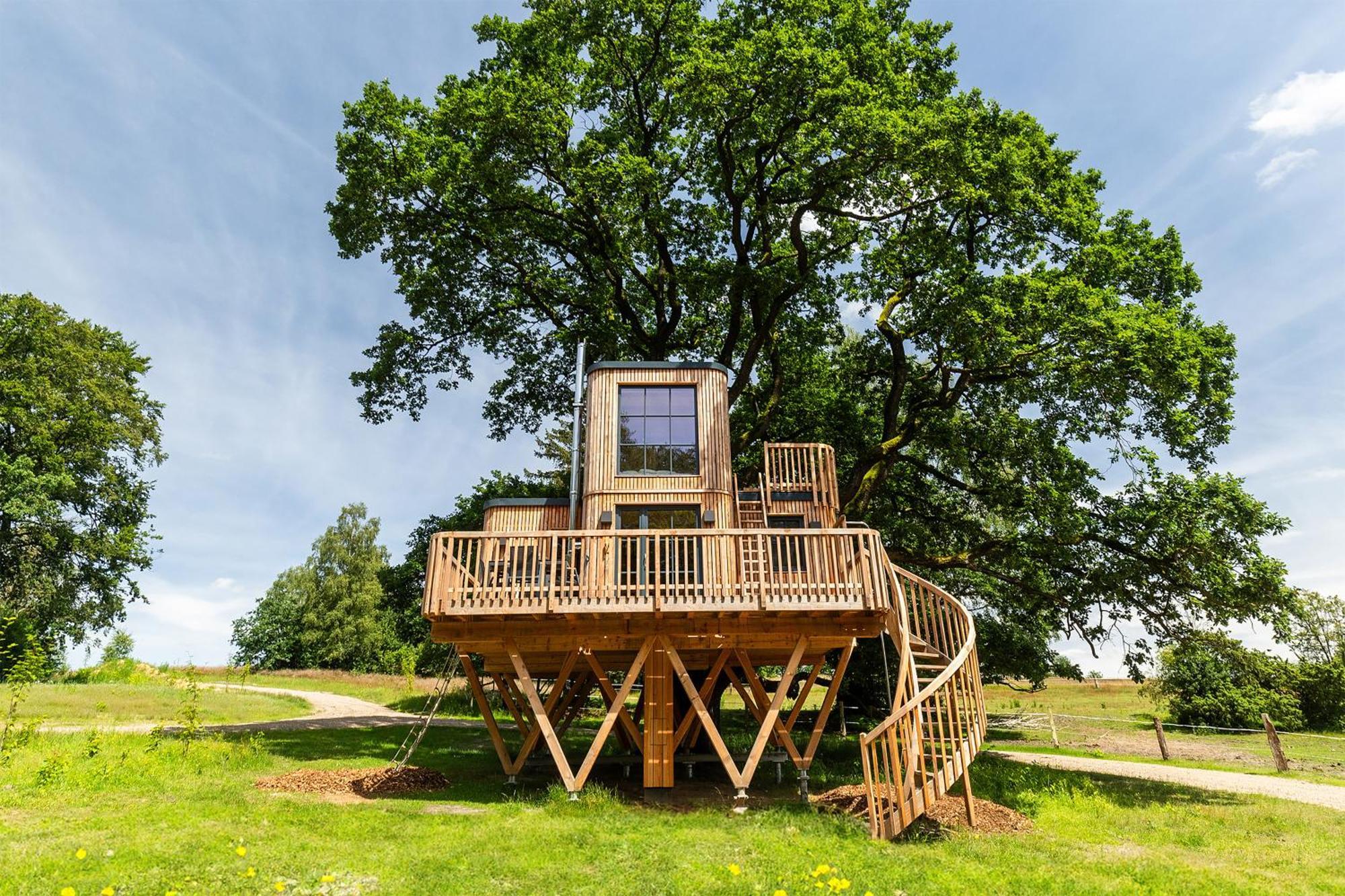 Heide Ferien - Hof Bockelmann Apartman Bispingen Szoba fotó