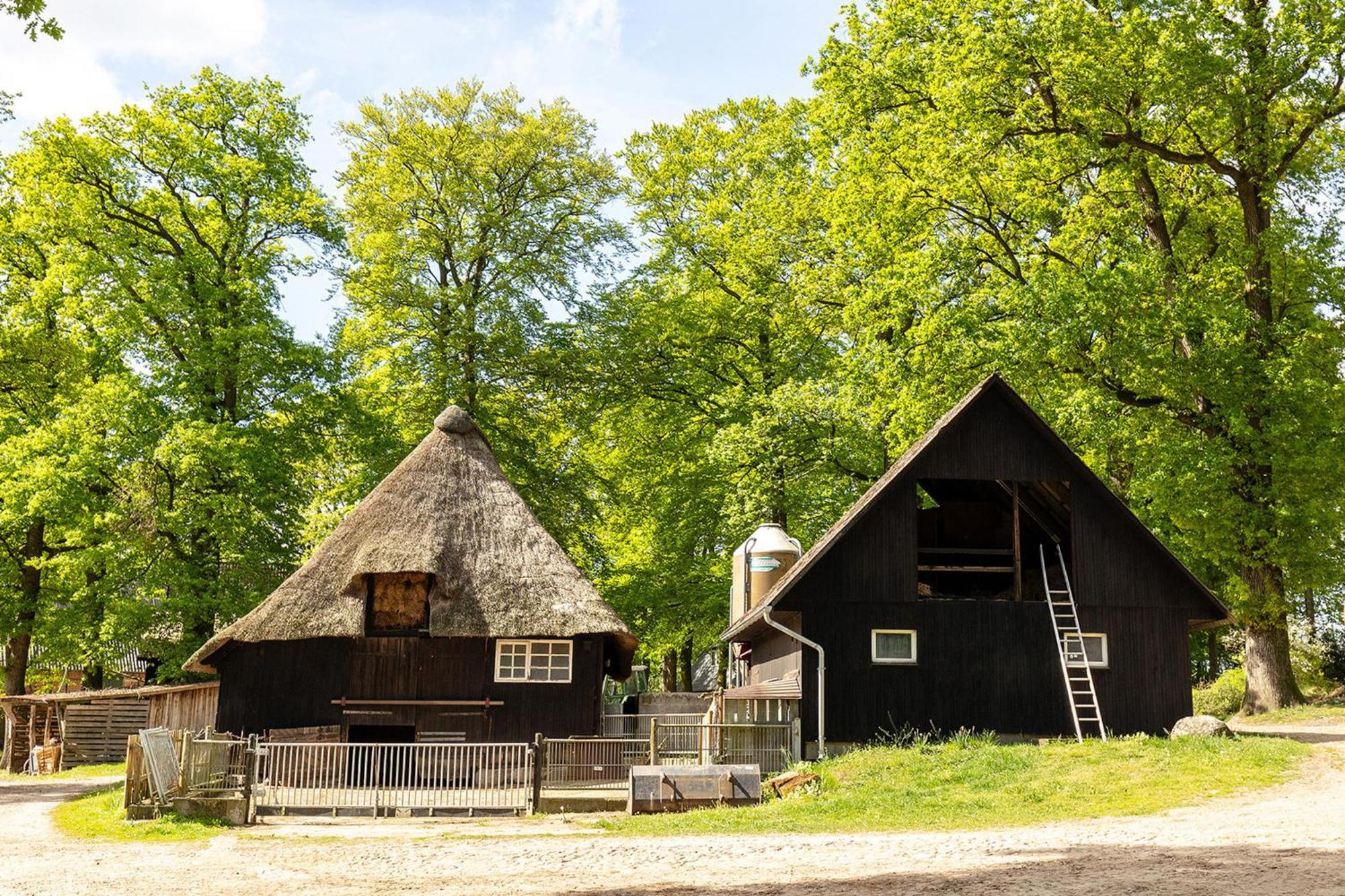 Heide Ferien - Hof Bockelmann Apartman Bispingen Kültér fotó