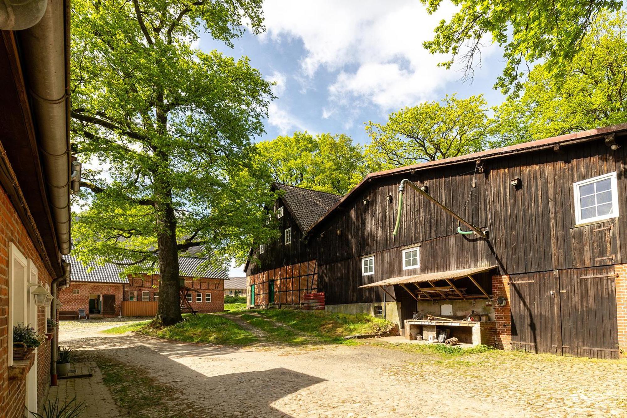 Heide Ferien - Hof Bockelmann Apartman Bispingen Kültér fotó