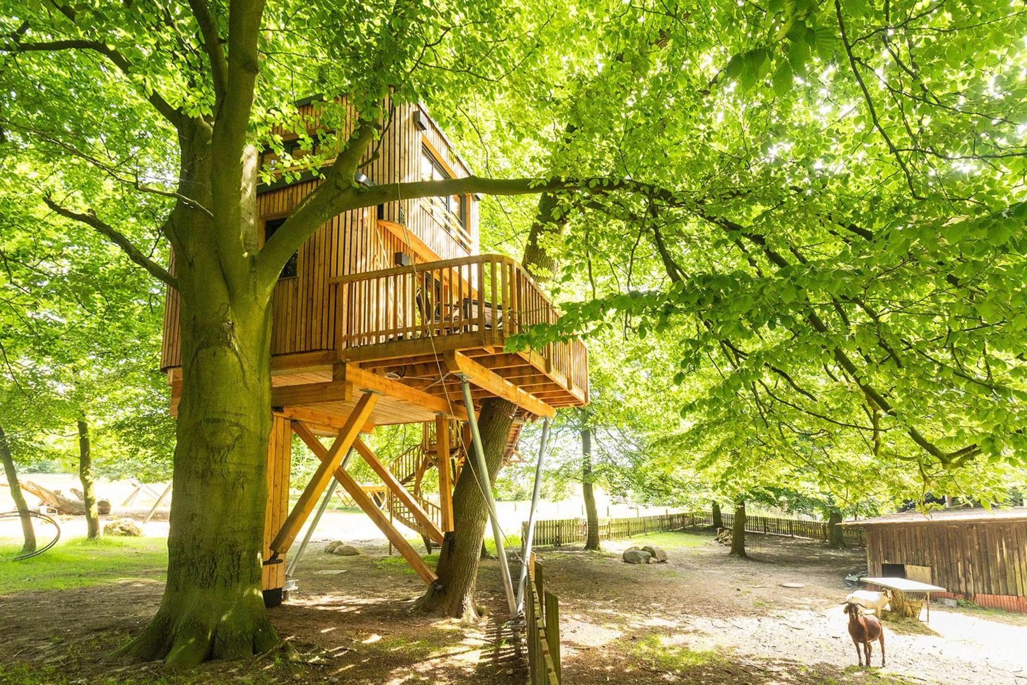 Heide Ferien - Hof Bockelmann Apartman Bispingen Kültér fotó
