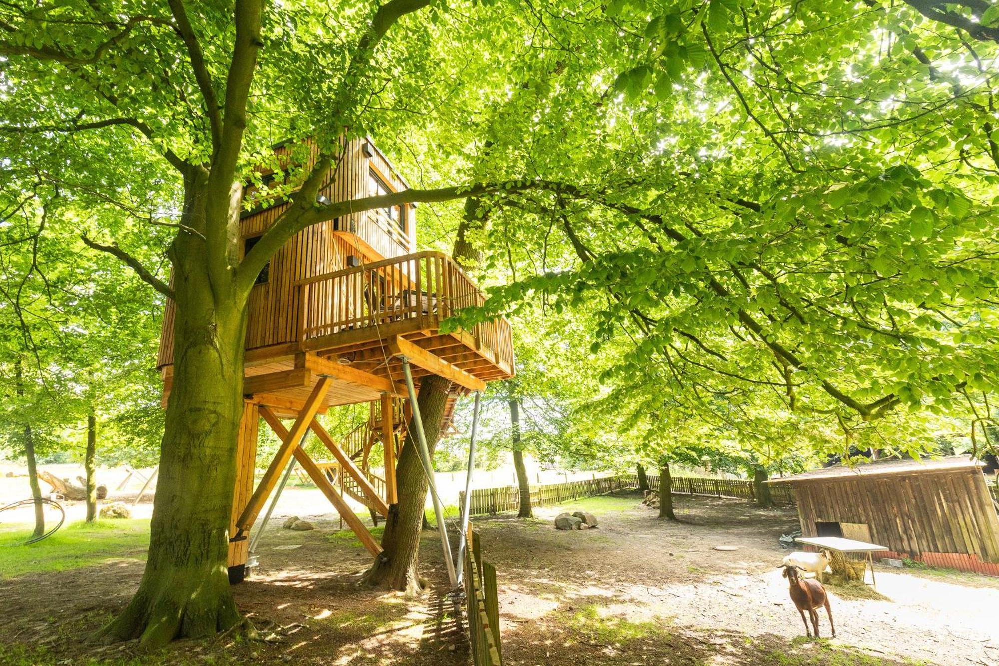 Heide Ferien - Hof Bockelmann Apartman Bispingen Szoba fotó
