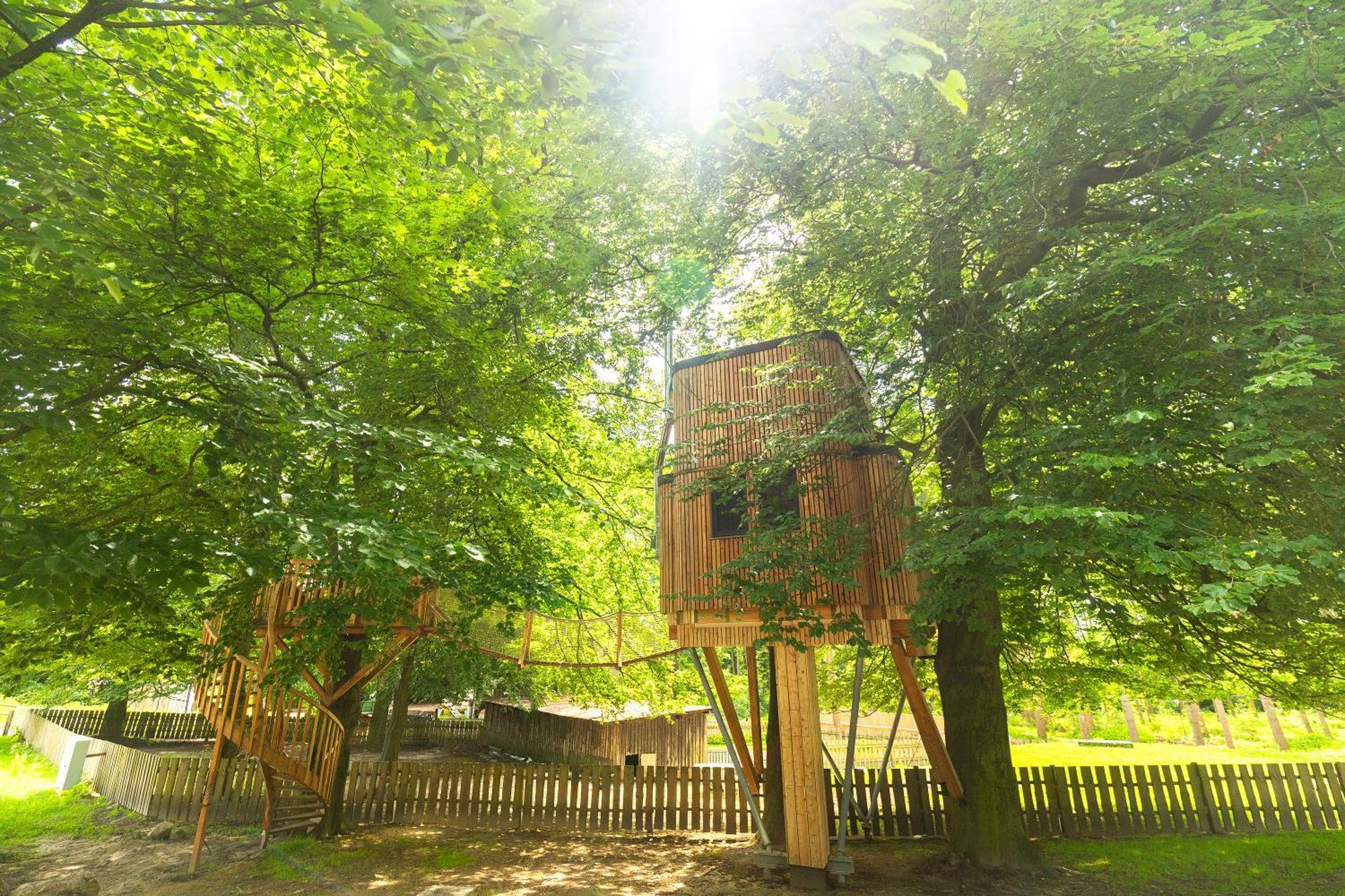 Heide Ferien - Hof Bockelmann Apartman Bispingen Szoba fotó